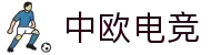 中欧电竞-官方电竞行业引领者